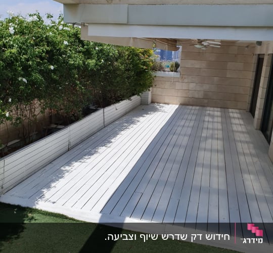 דק עץ לבן לצד גדר צמחים ירוקה